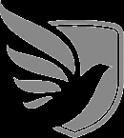 Логотип компании Региональный диагностический центр-Саранск