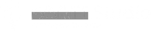 Логотип компании Sarit.Studio