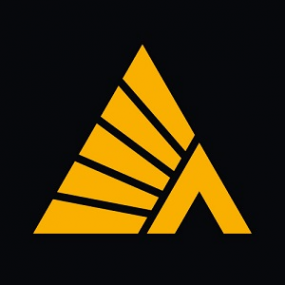 Логотип компании Деловые Линии Саранск