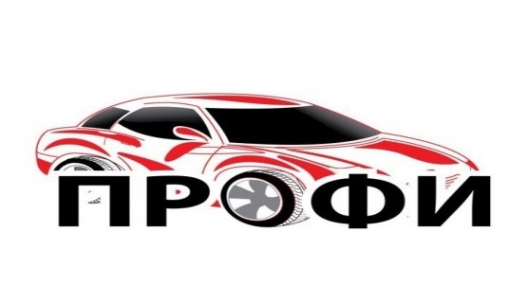 Логотип компании ПРОФИ